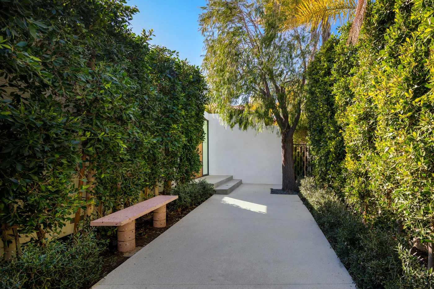 Garden path between hedges
